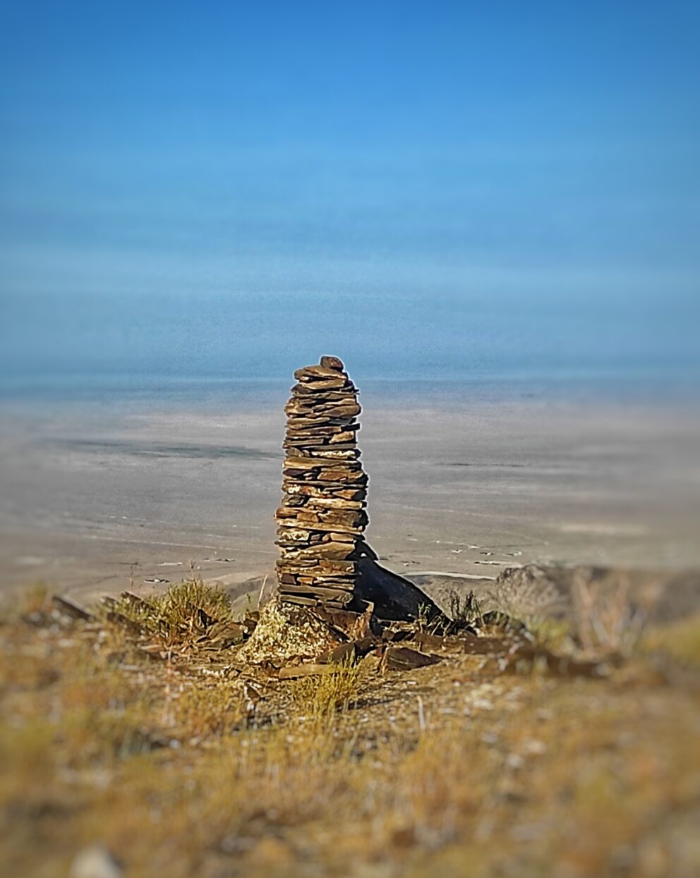 10 день