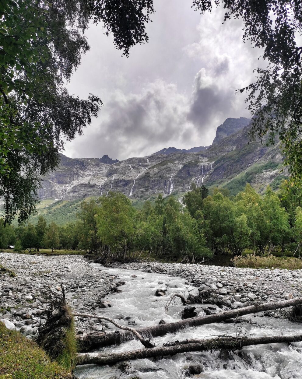 4 день