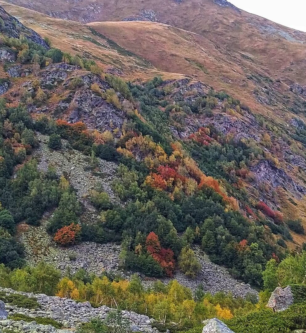 2 день
