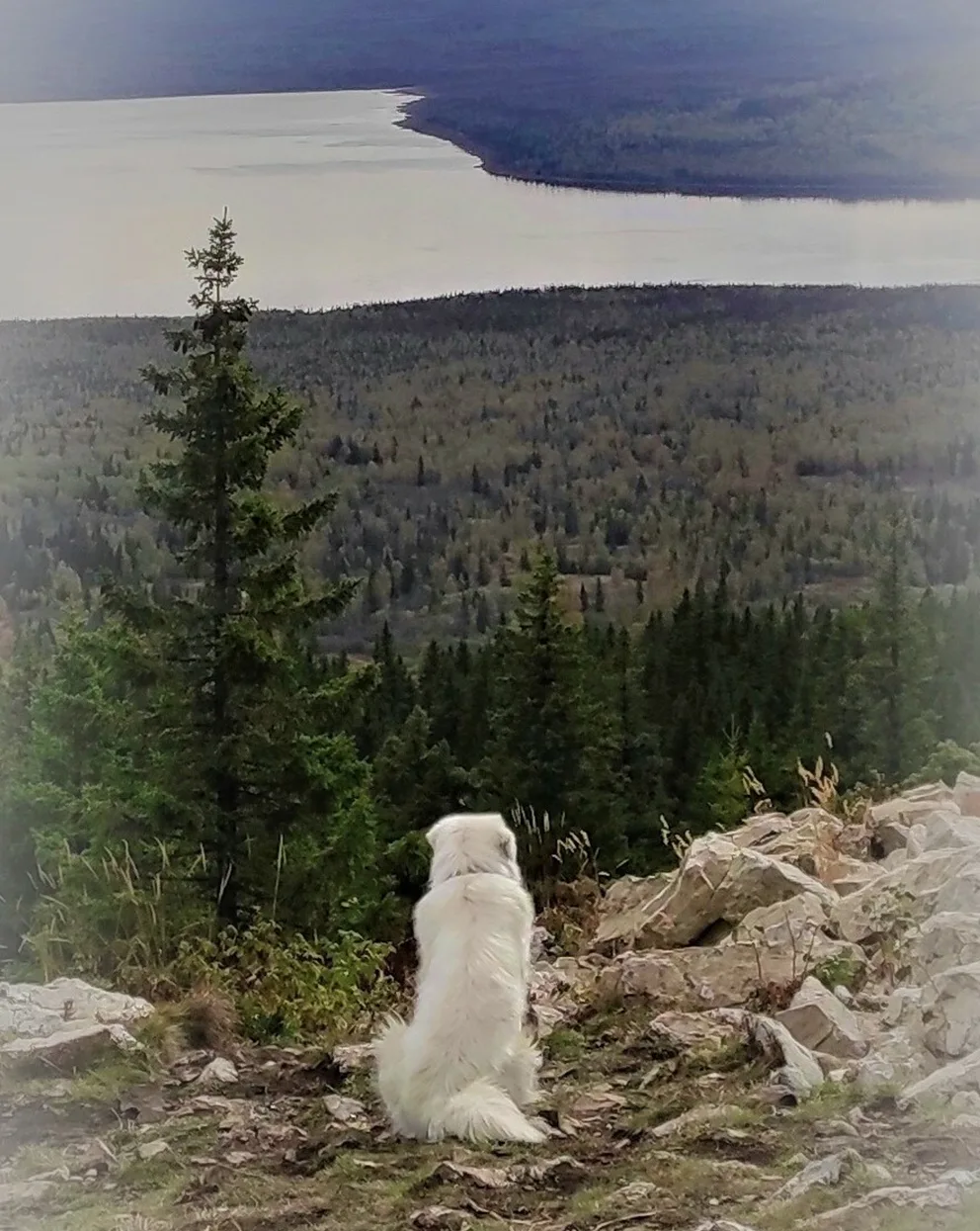 4 день