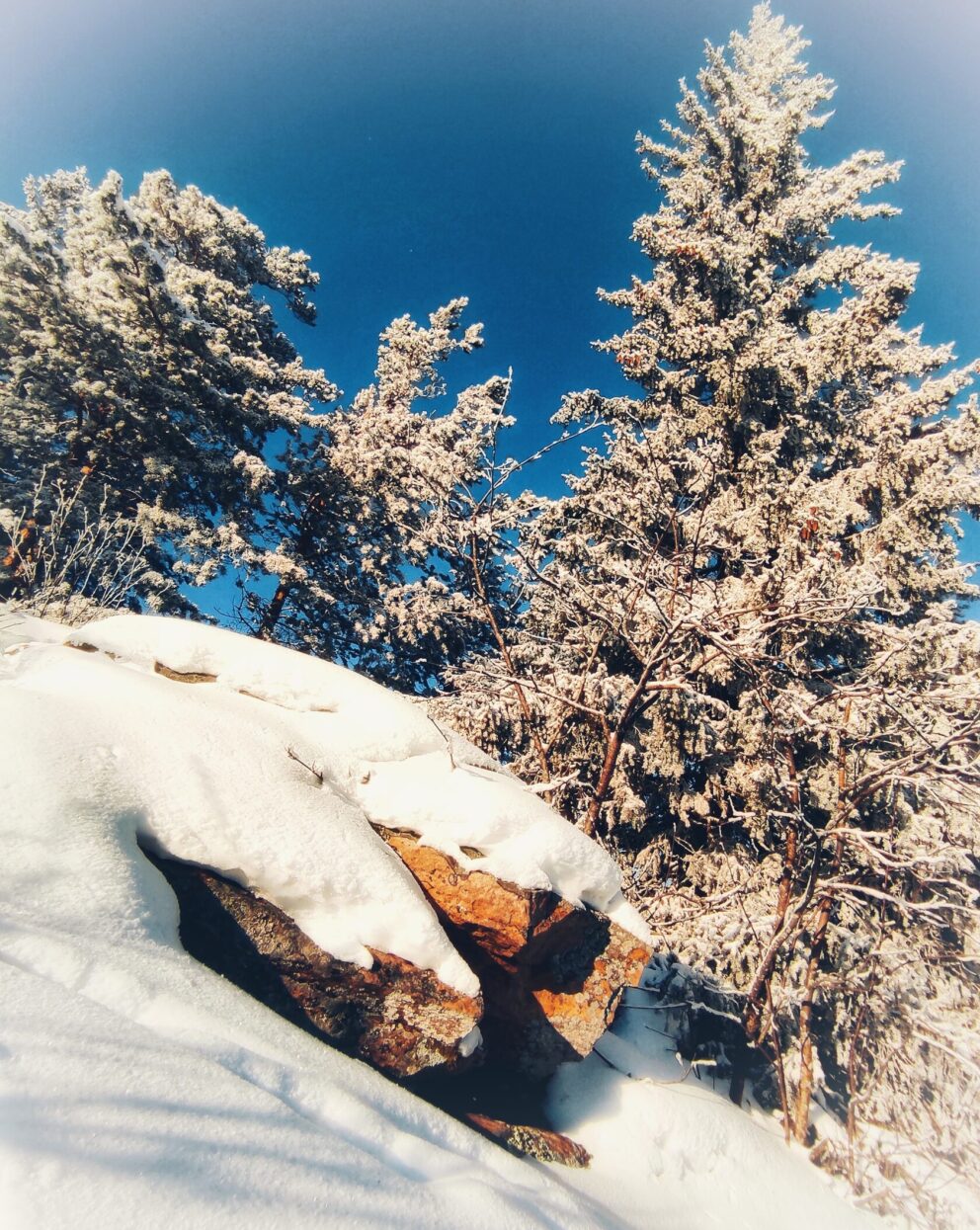 1 день